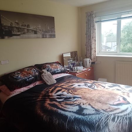 216 Glyn Eiddew Hotel Cardiff Ngoại thất bức ảnh