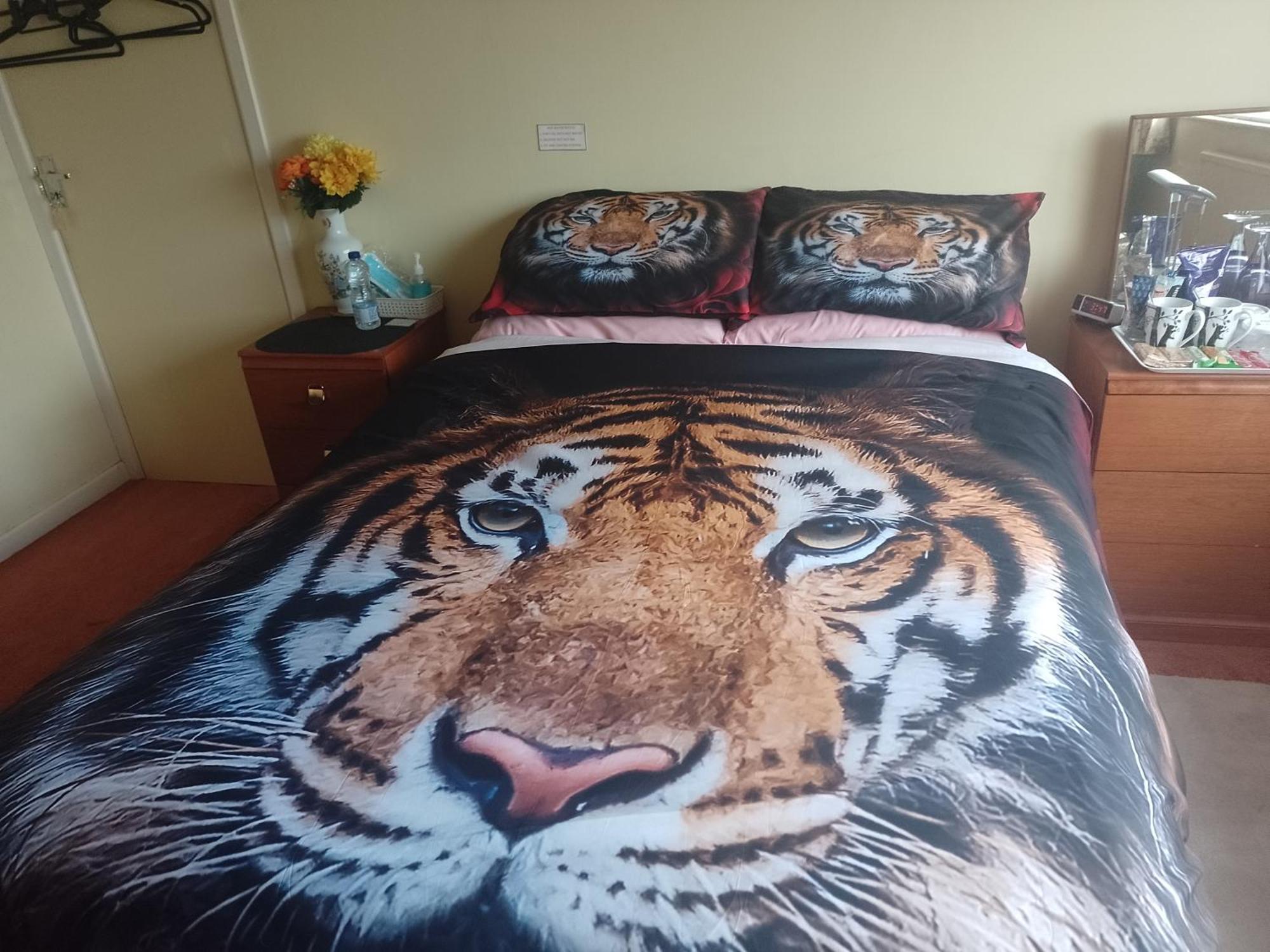 216 Glyn Eiddew Hotel Cardiff Ngoại thất bức ảnh